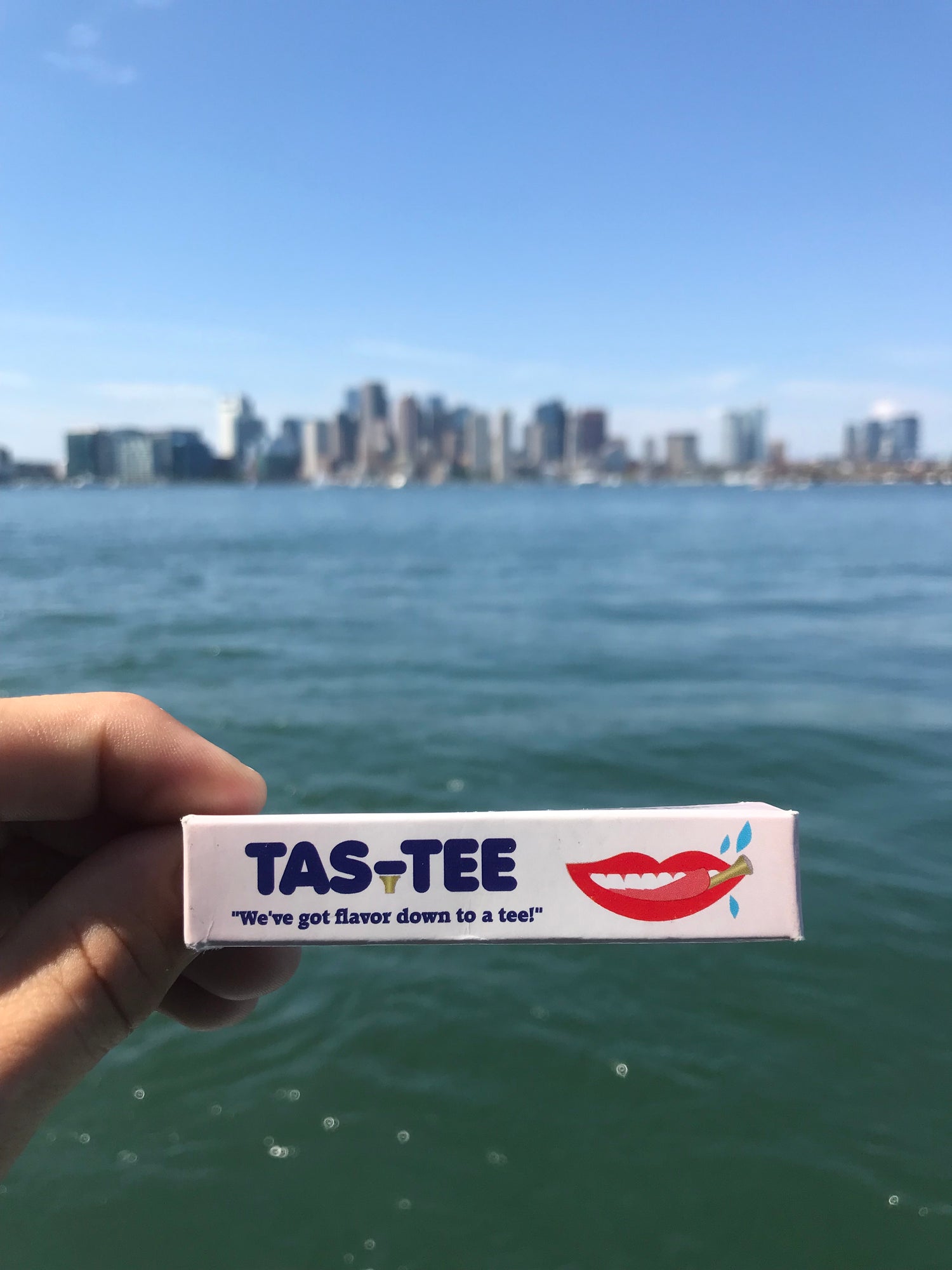 Attending lectures on flavored plastic science